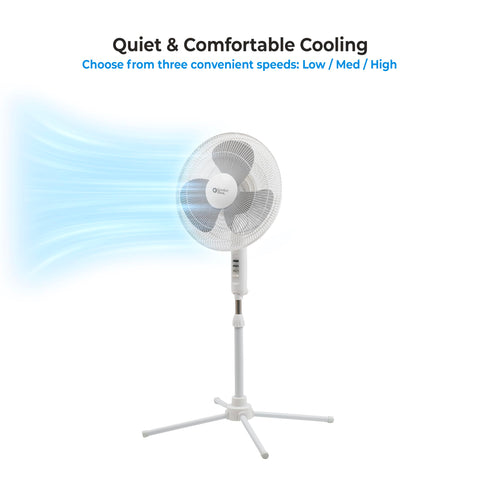Comfort Zone stand fan in a modern office setup.
