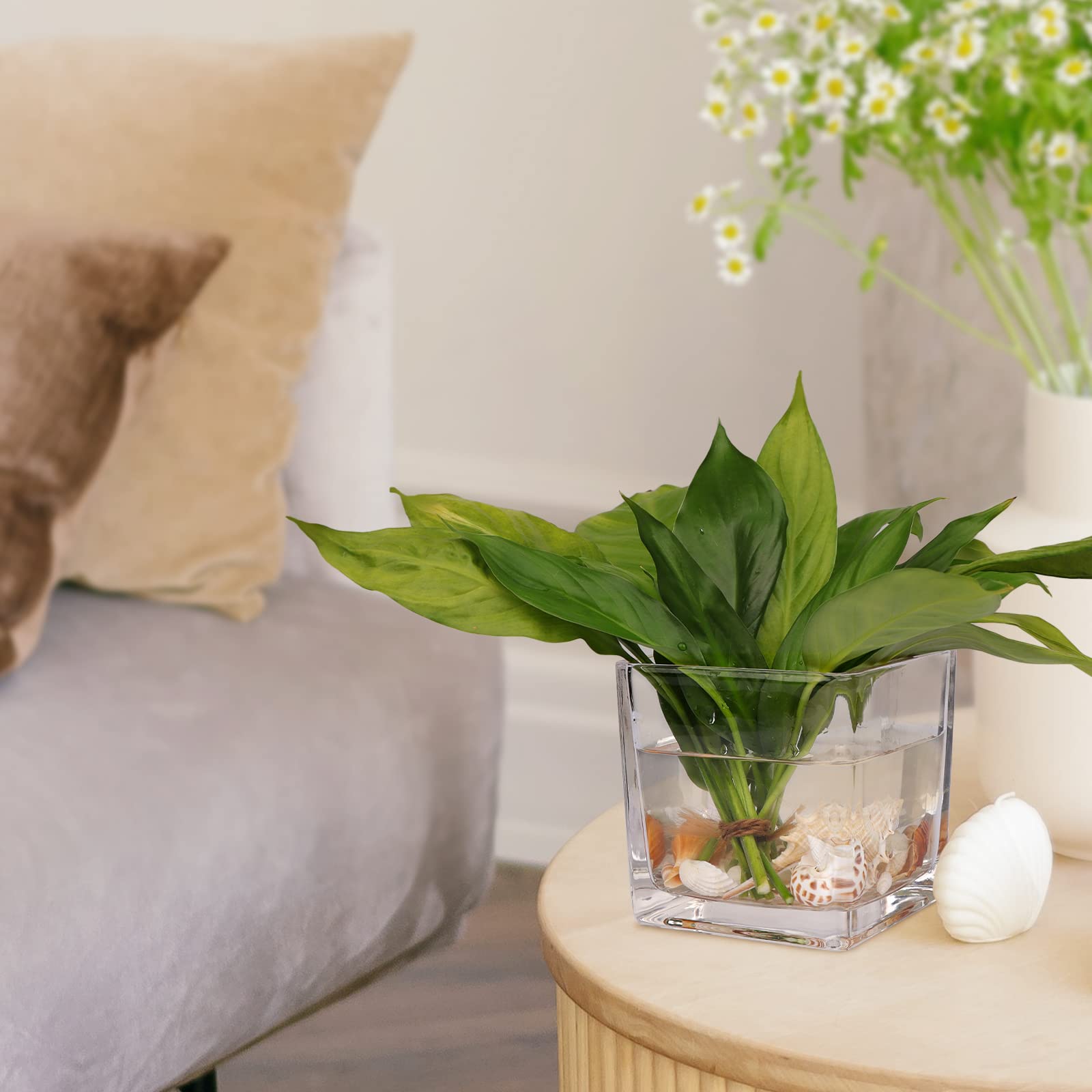 Comrzor square glass vase 4-inch office decor adds minimal, modern touch.