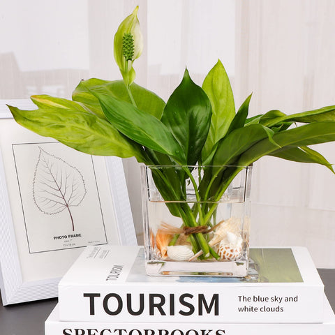 Comrzor square glass vase 4-inch wedding centerpiece enhances elegant decor.