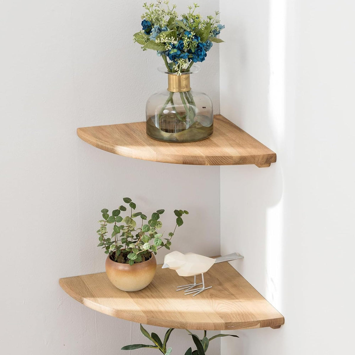 Conamily corner shelf with oak round end mounted on wall for compact display