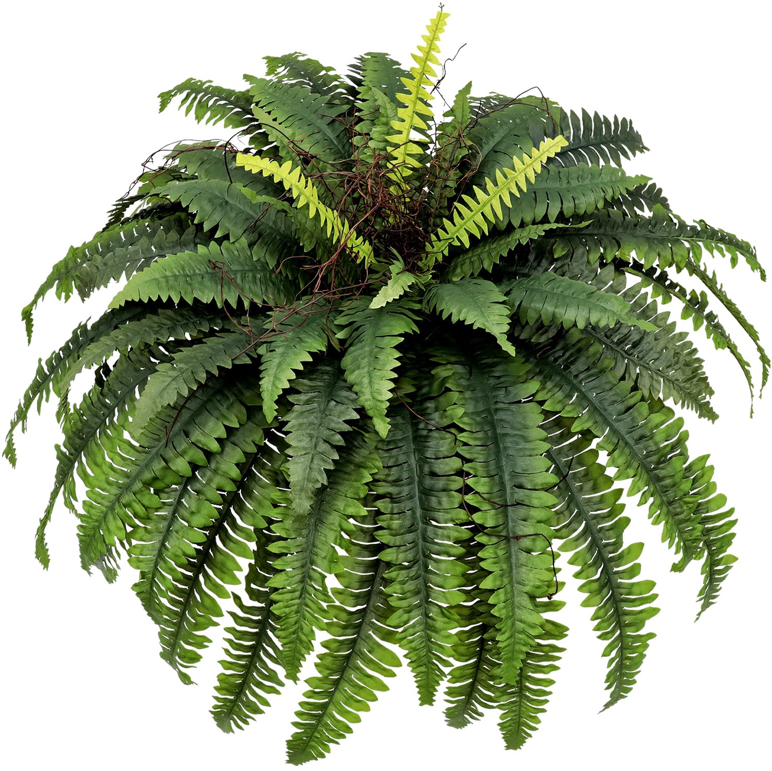 CongfuHepMui Boston fern 47-inch adds lush outdoor greenery.