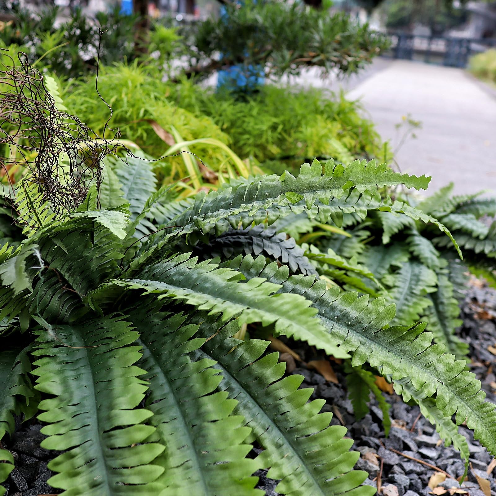 CongfuHepMui easy-clean fake fern wiped clean with a damp cloth for quick upkeep.