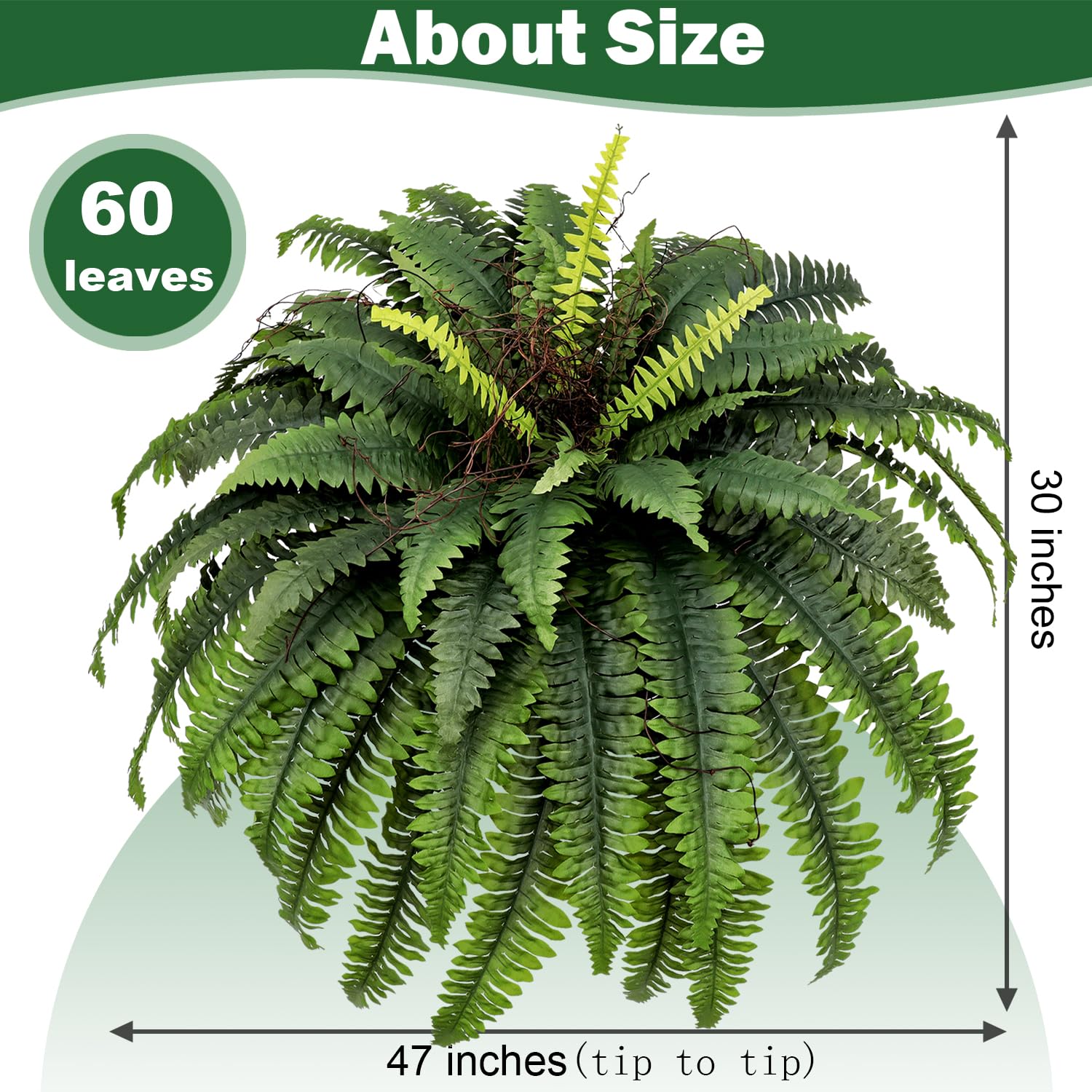 CongfuHepMui outdoor indoor fern decor suitable for patios, windowsills, and garden corners.