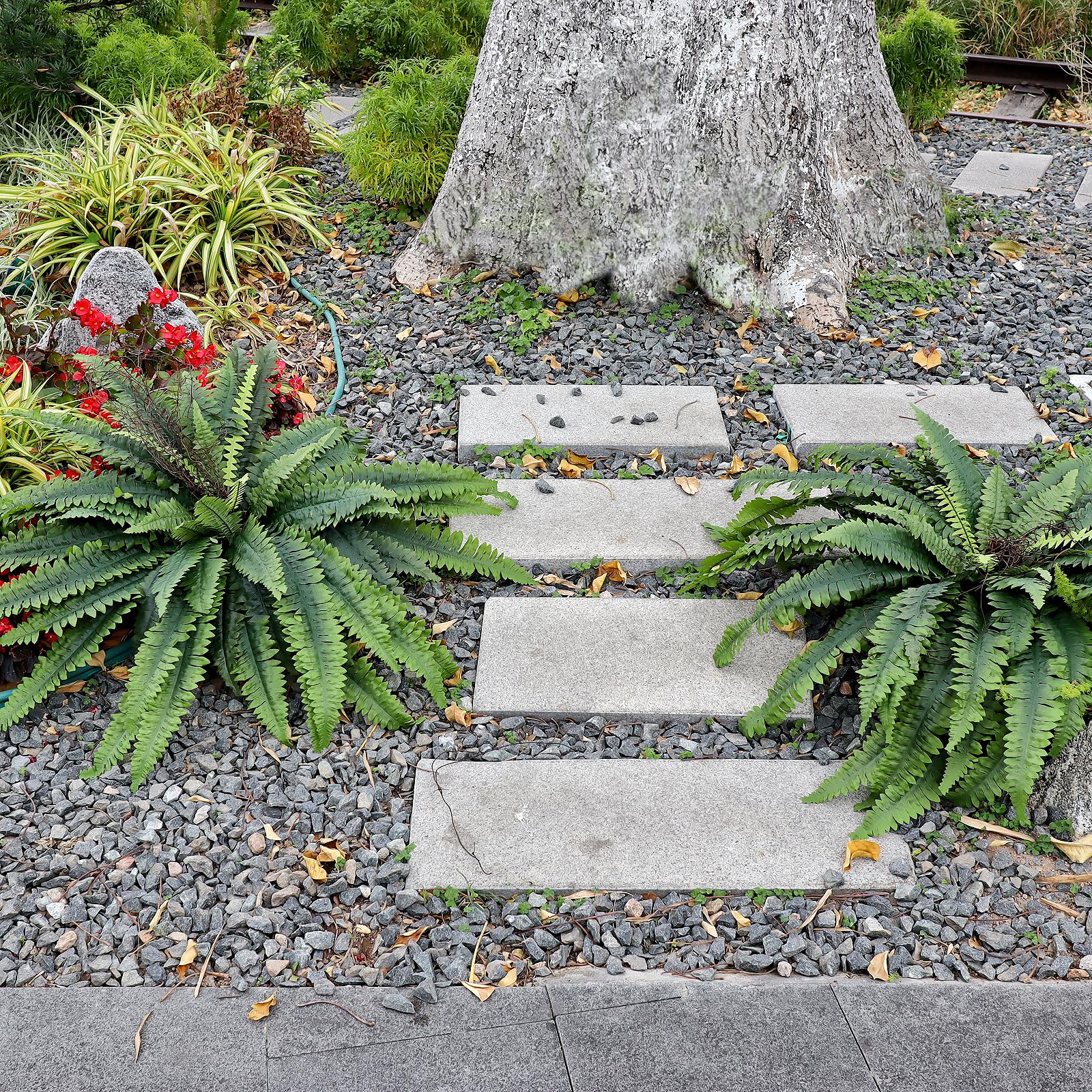 CongfuHepMui weatherproof fern UV-resistant for durable outdoor display.