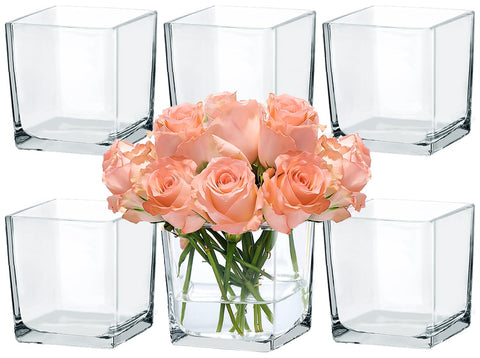 CONNOO square vase 5x5 bulk pack for stunning centerpieces