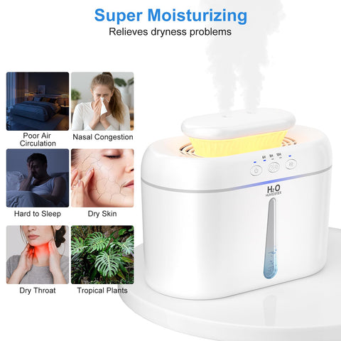 COO humidifier with adjustable mist modes for tailored humidity