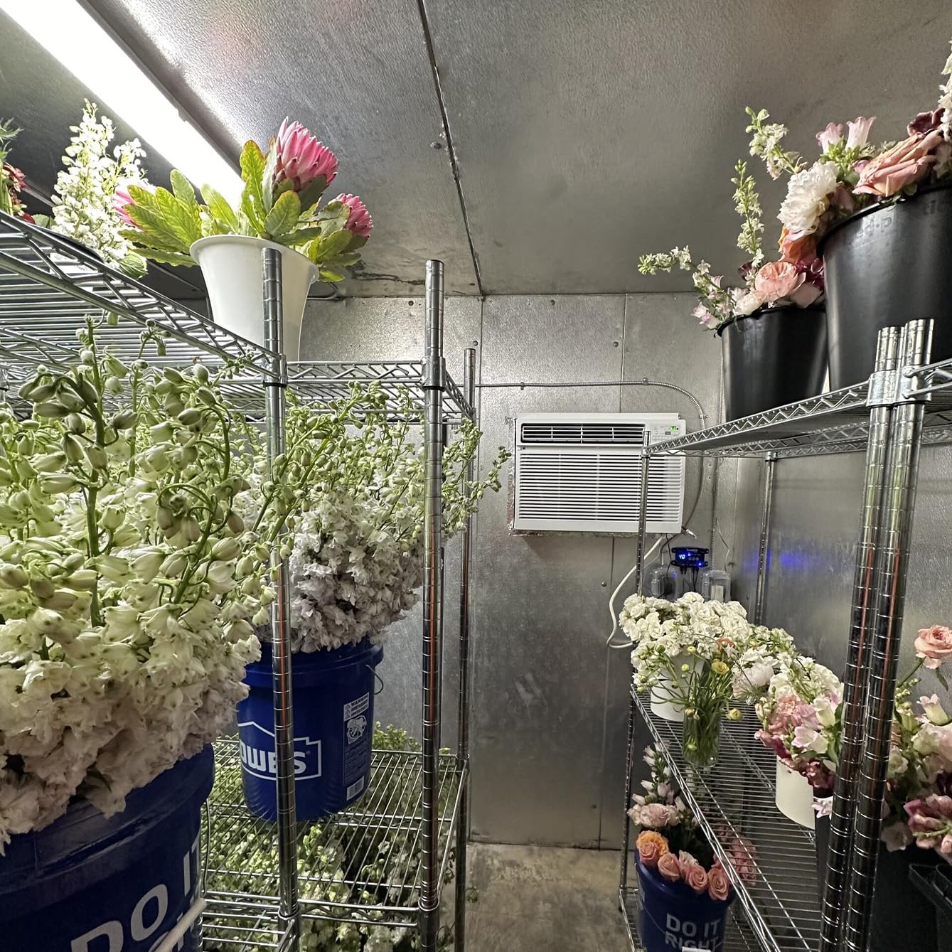 Produce storage with CoolBot Pro showing temperature stability and freshness