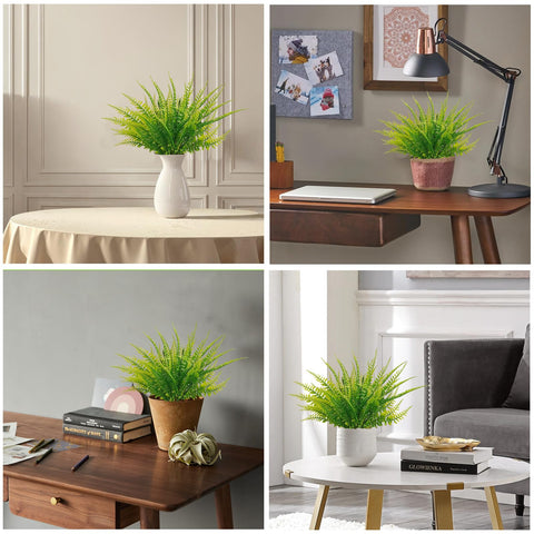 Coreland indoor-outdoor fern decor setup highlights low-maintenance greenery.