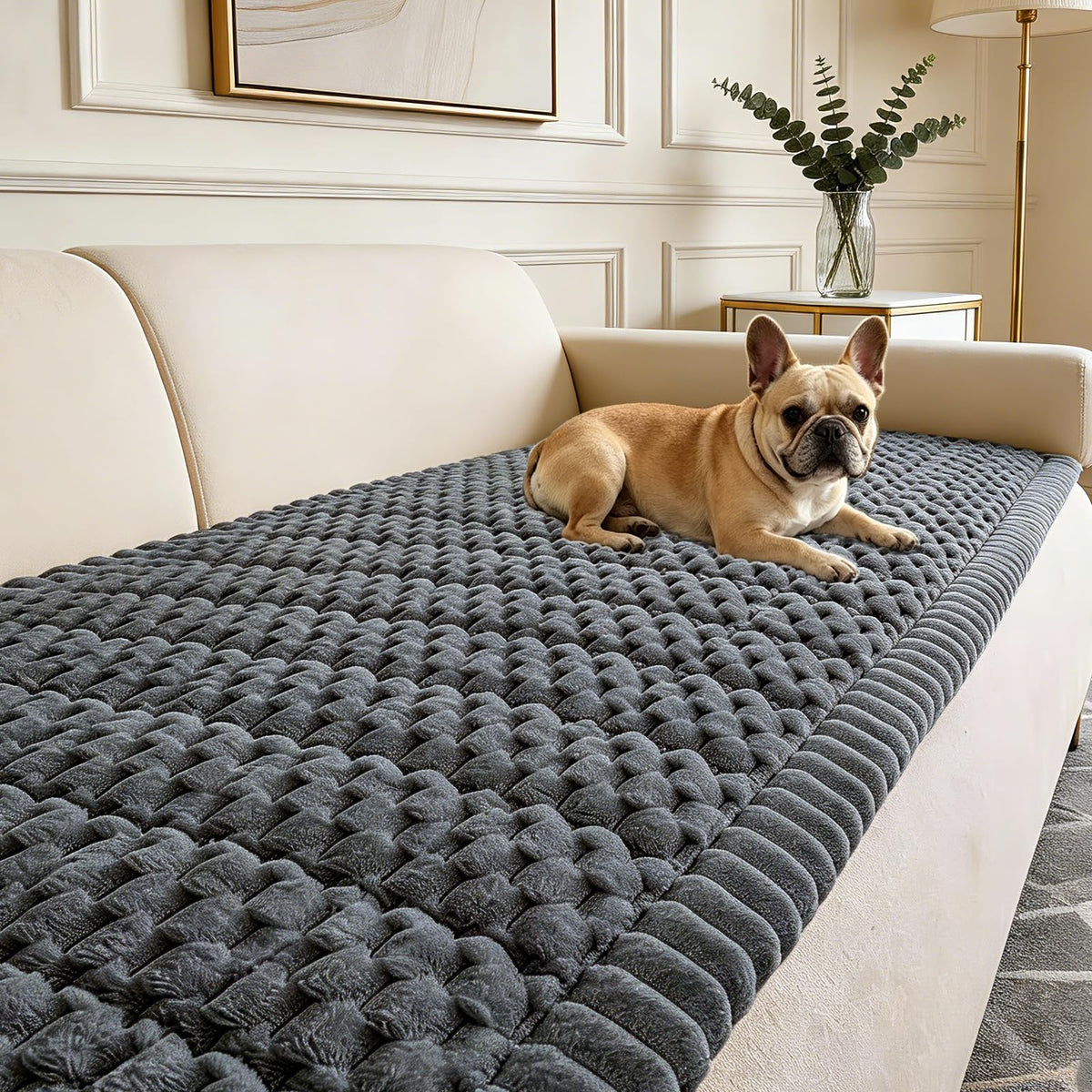 CoSofSLIP couch cover on a dog-friendly grey sofa protects furniture and stays securely in place