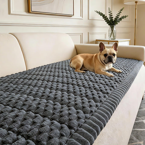 CoSofSLIP couch cover on a dog-friendly grey sofa protects furniture and stays securely in place