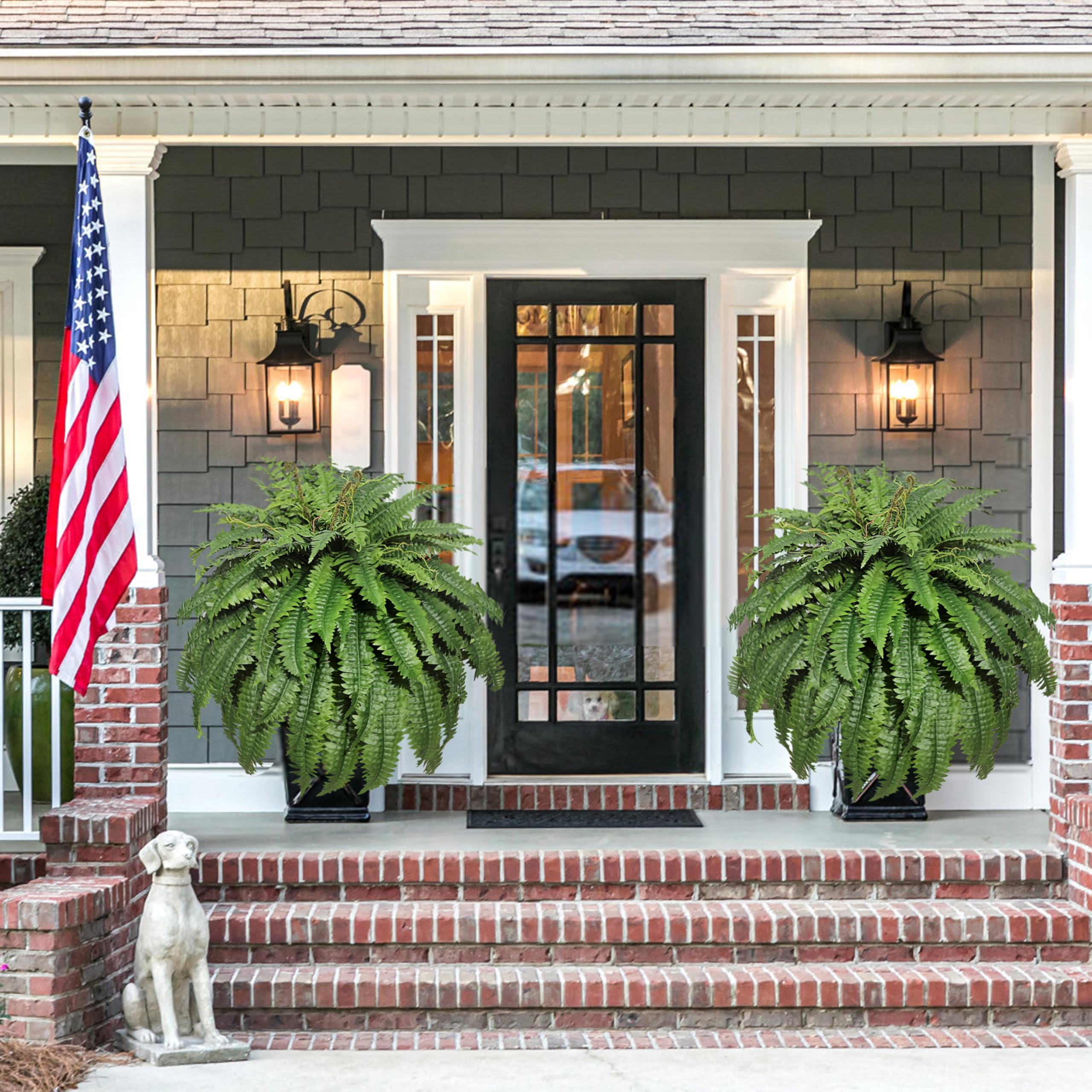Cotlux Boston fern adds dust-trapping appeal for cleaner spaces.