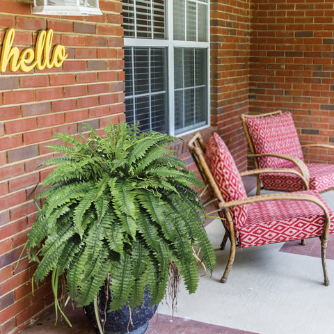 Cotlux durable faux fern for porch and living room, low maintenance.