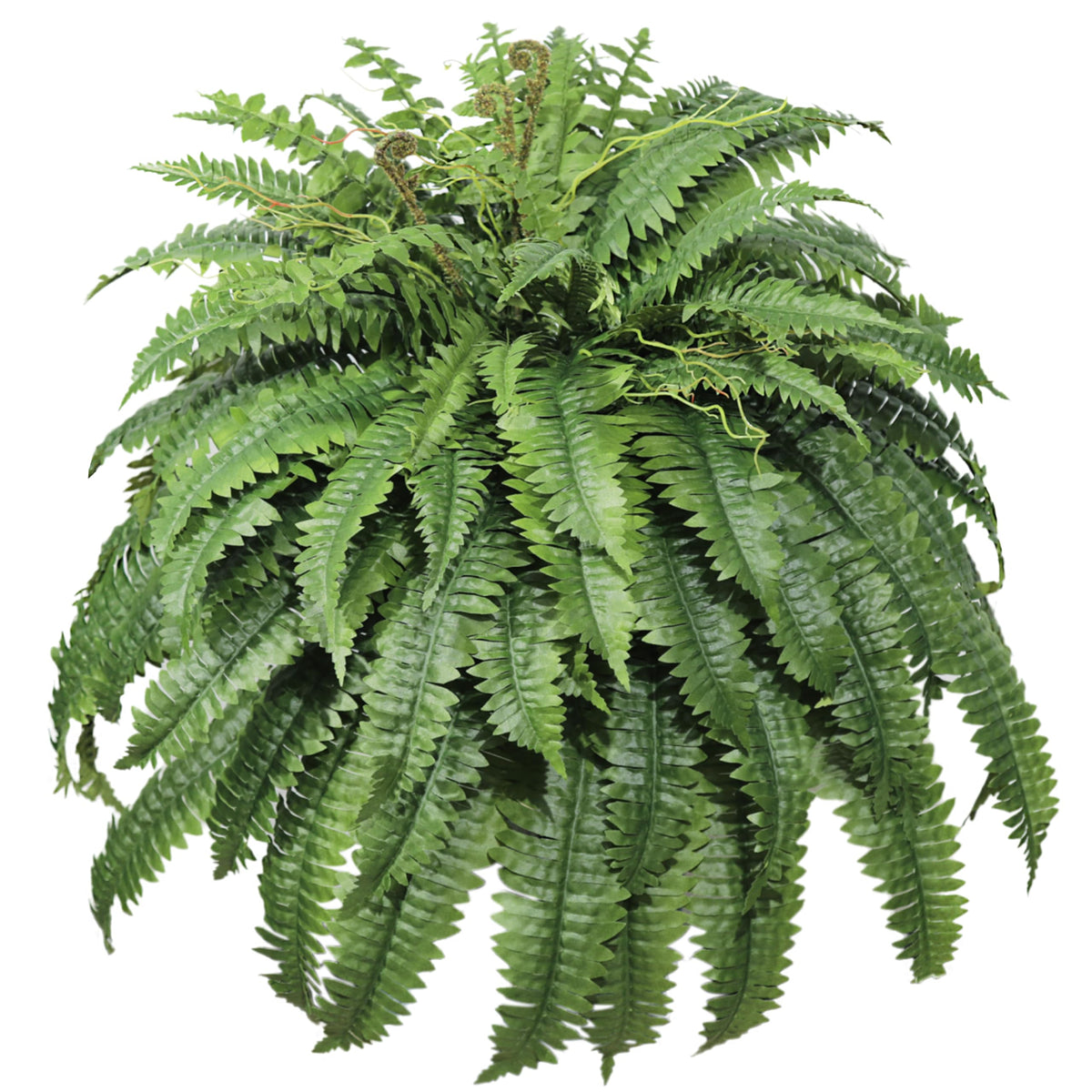 Cotlux large outdoor artificial fern outdoors with 48-inch diameter for lush patio coverage.