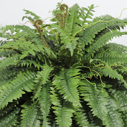 Cotlux outdoor artificial fern UV-resistant and waterproof for patios or balconies.