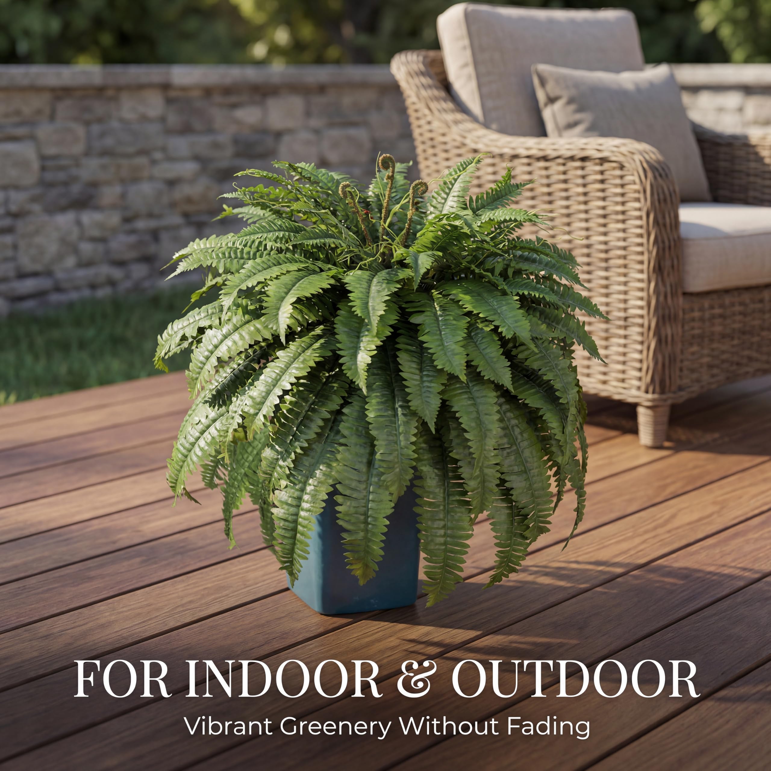 Perfect for indoors or outdoors, Cotlux ferns soften spaces with natural color.