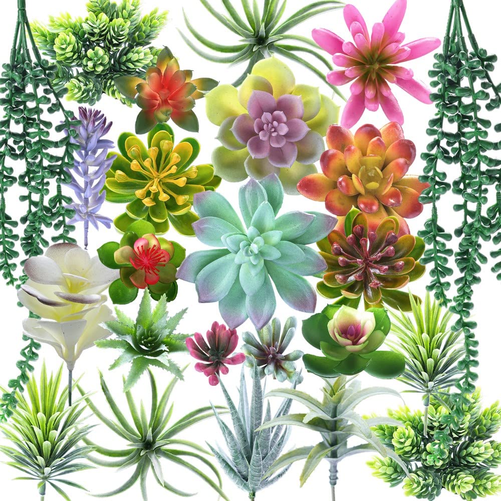 COTSEN 24-pack artificial succulents for vibrant home decor