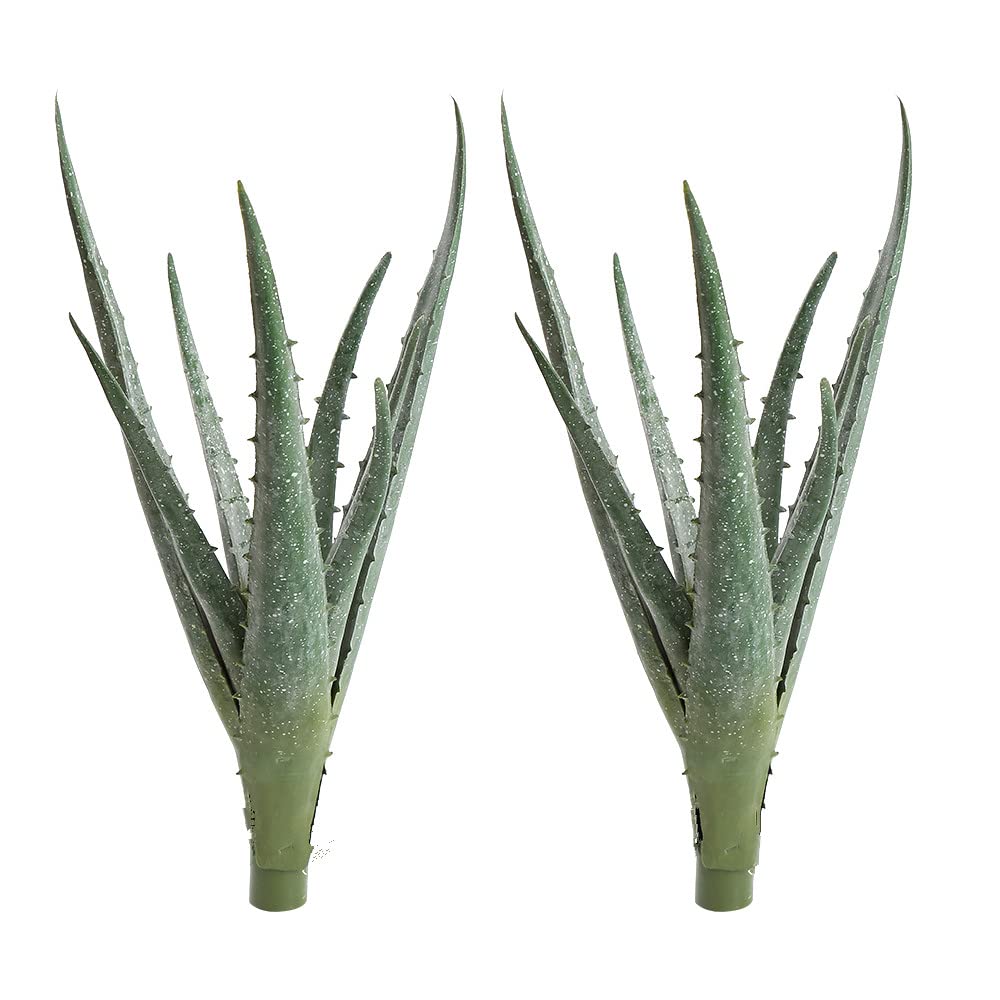 COTSEN artificial aloe pair for versatile centerpiece decor.