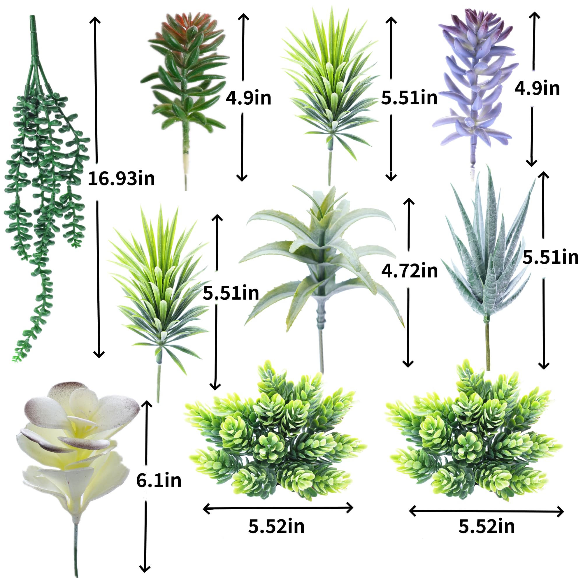 COTSEN maintenance-free succulents suit homes, restaurants, and events with easy upkeep.