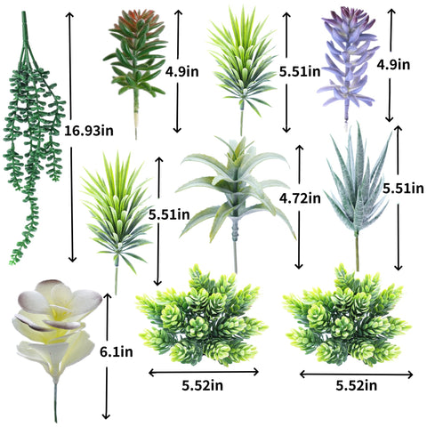 COTSEN maintenance-free succulents suit homes, restaurants, and events with easy upkeep.