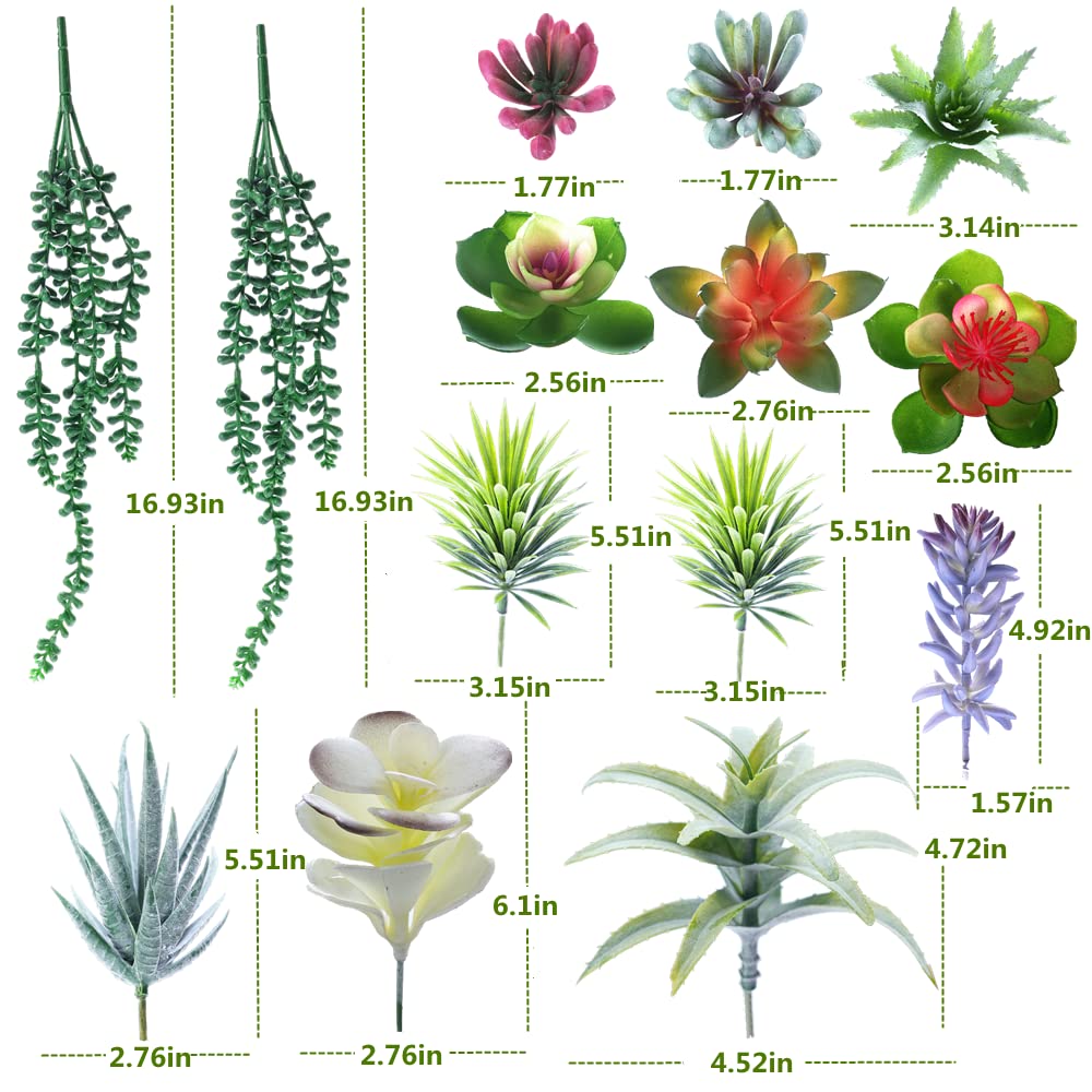 COTSEN realistic textured succulents for shelves and tables