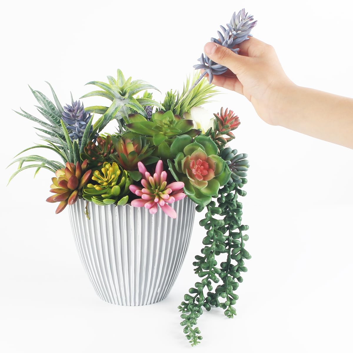 COTSEN unpotted display offers flexible placement options for creative setups.