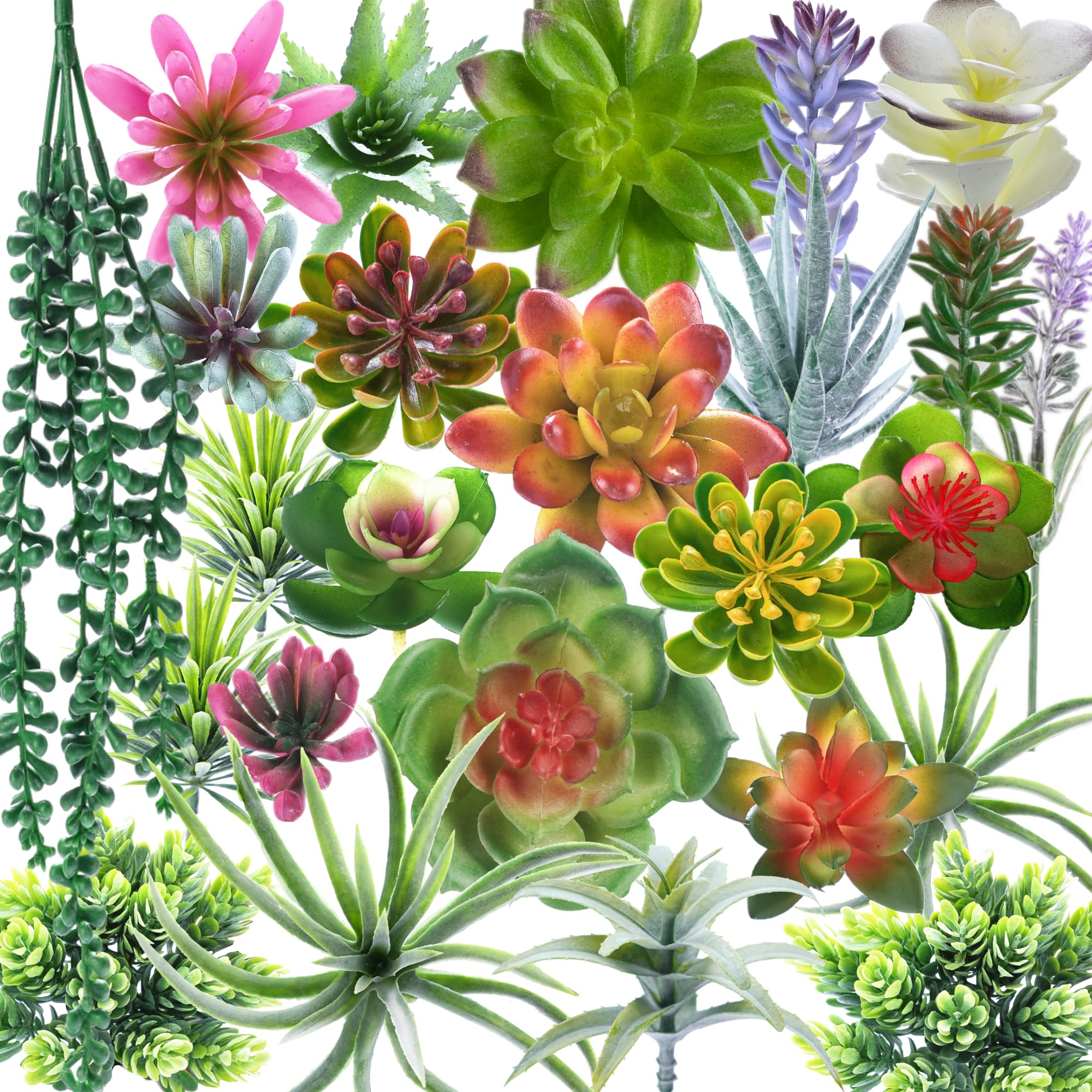 COTSEN artificial succulents variegated types for versatile, low-maintenance decor.