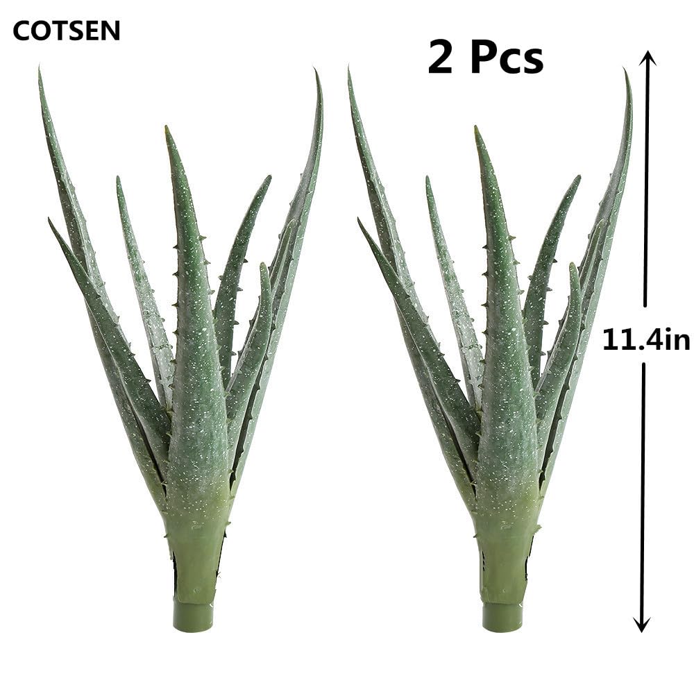 COTSEN gift idea succulent plants for teachers and friends.