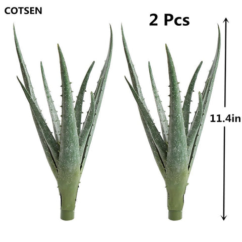 COTSEN gift idea succulent plants for teachers and friends.
