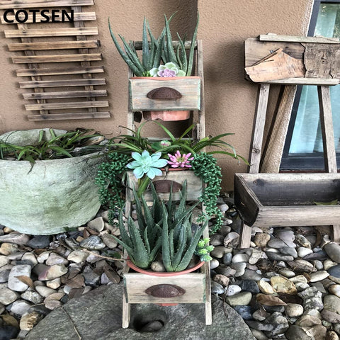 COTSEN evergreen indoor or outdoor decor for offices.