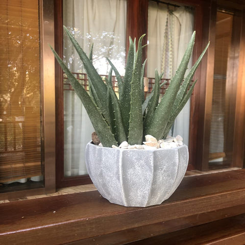 COTSEN large artificial aloe succulents provide evergreen accent.