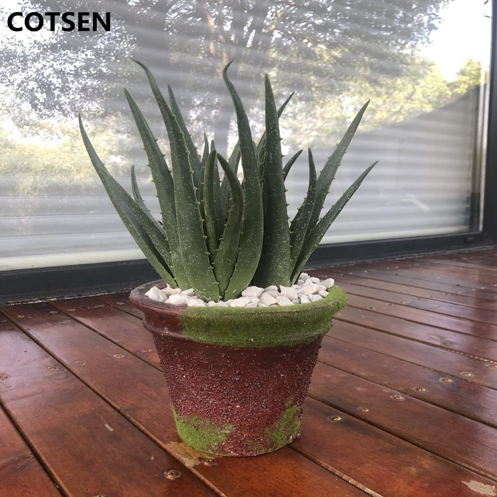 COTSEN maintenance-free decor safe for homes with kids.