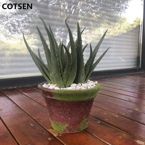 COTSEN maintenance-free decor safe for homes with kids.