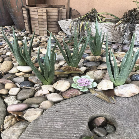 COTSEN wedding and hotel decor ideas with lifelike succulents.