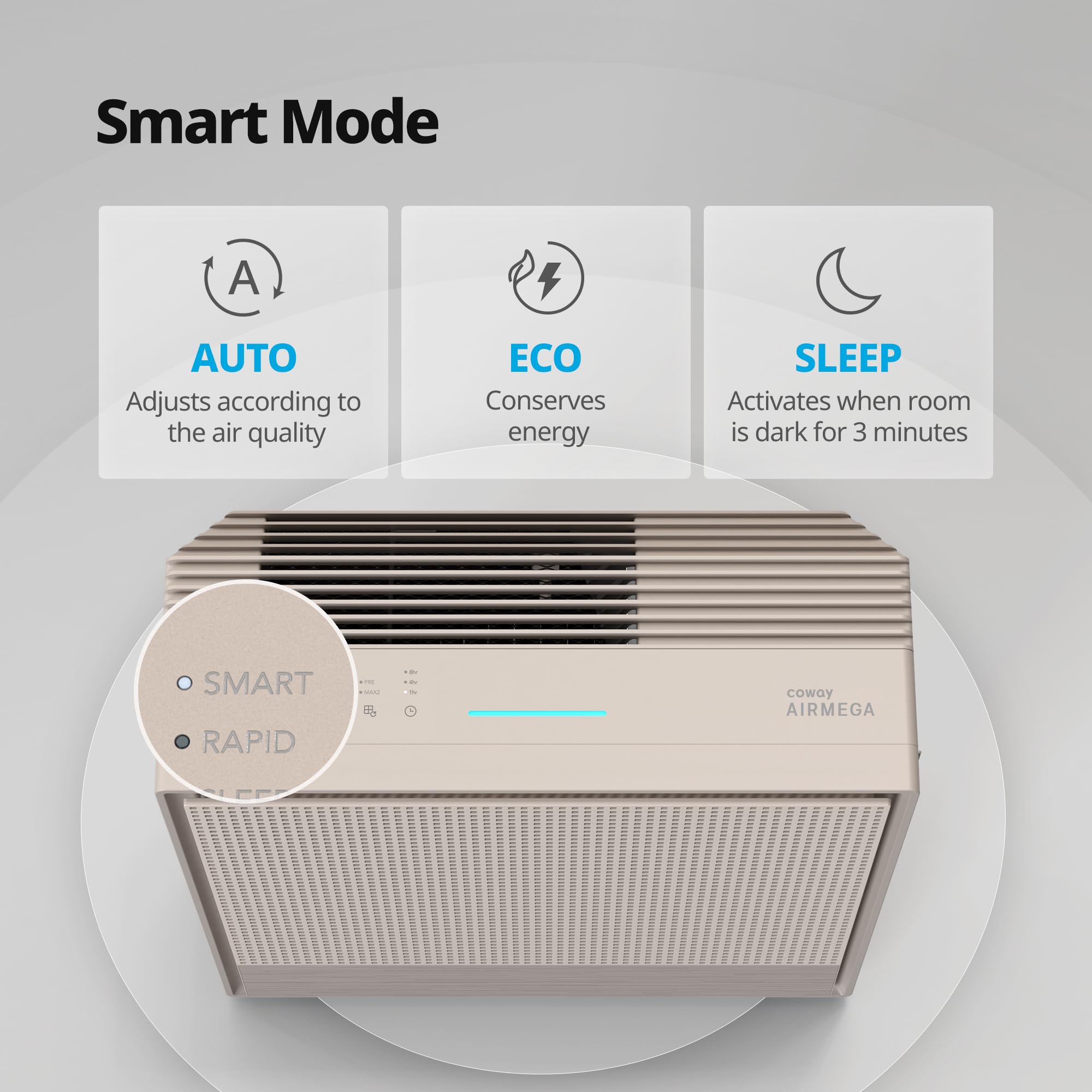 Coway Airmega 250 HEPA filter close-up captures fine particles
