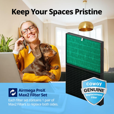 Coway Airmega ProX activated carbon filter closeup for odor and gas reduction.