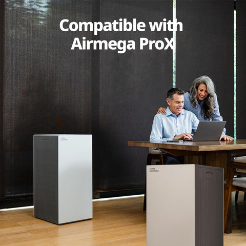 Coway Airmega ProX HEPA filter closeup highlighting high-efficiency filtration.