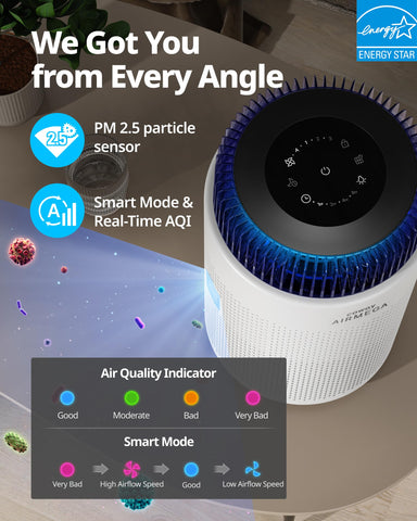 Coway Airmega three-stage manual fan speed for customized purification.