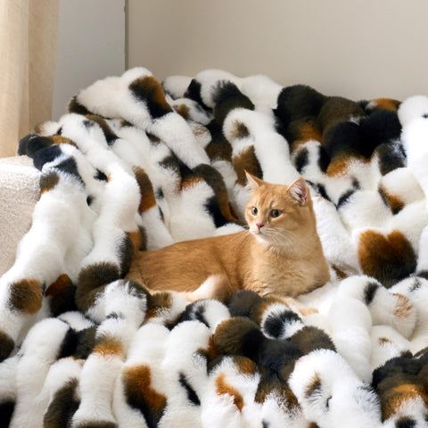 Chic decor throw on couch enhances living room ambiance.