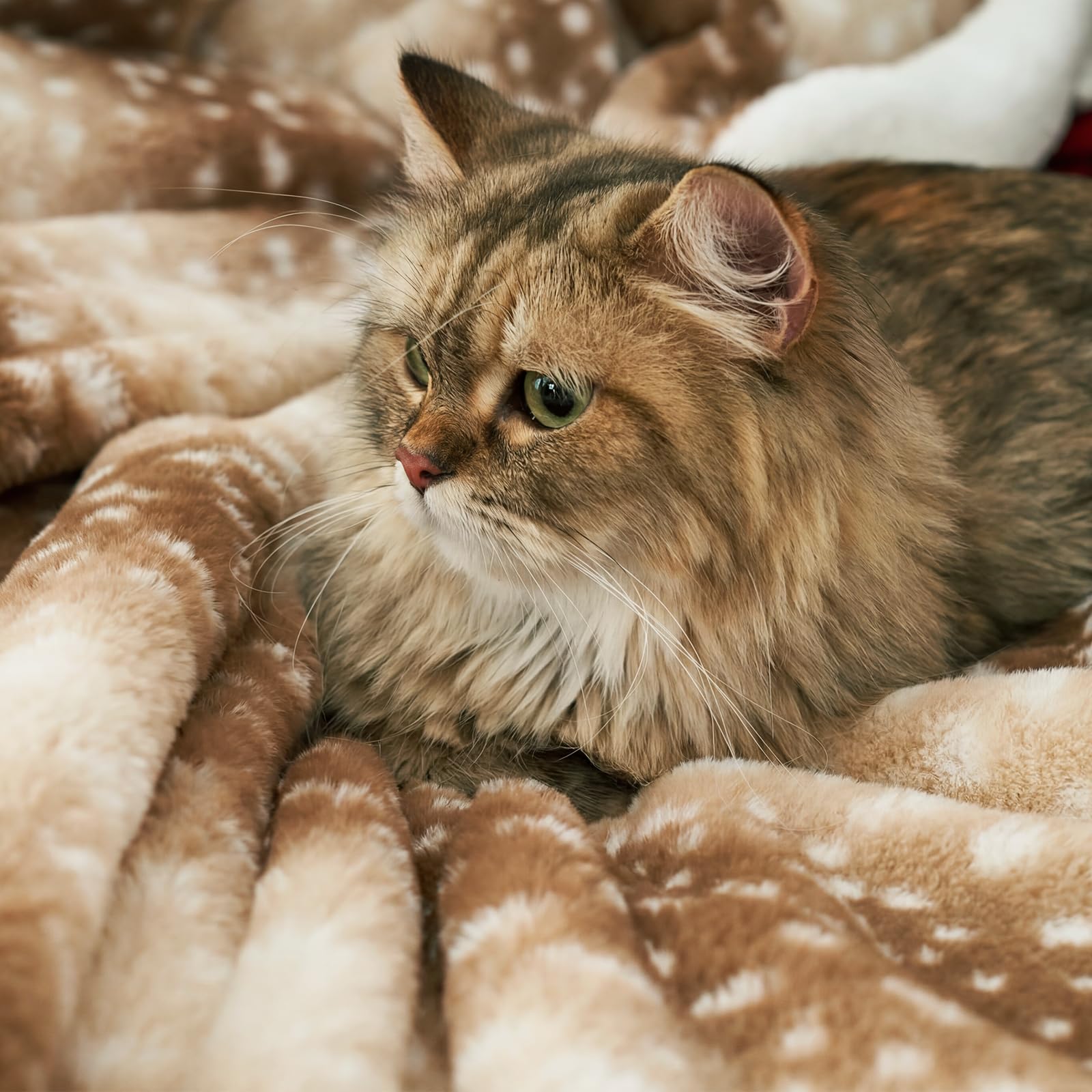 Cozy Bliss non-shedding finish on warm brown blanket for easy care