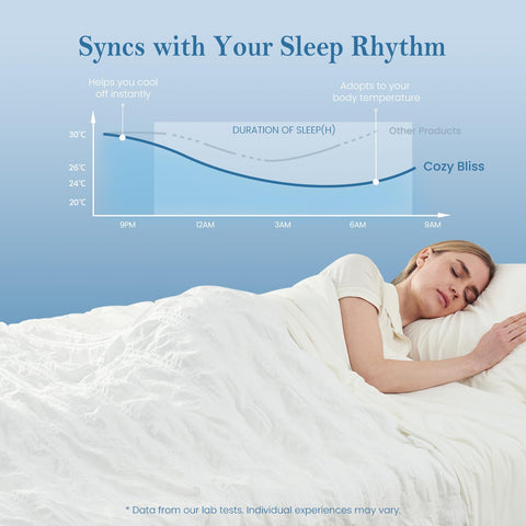 Cozy Bliss queen-size bed layout with ample coverage.