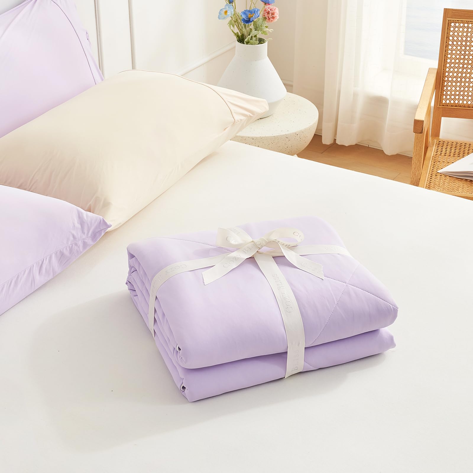 Cozy Bliss travel-friendly blanket ready for car trips