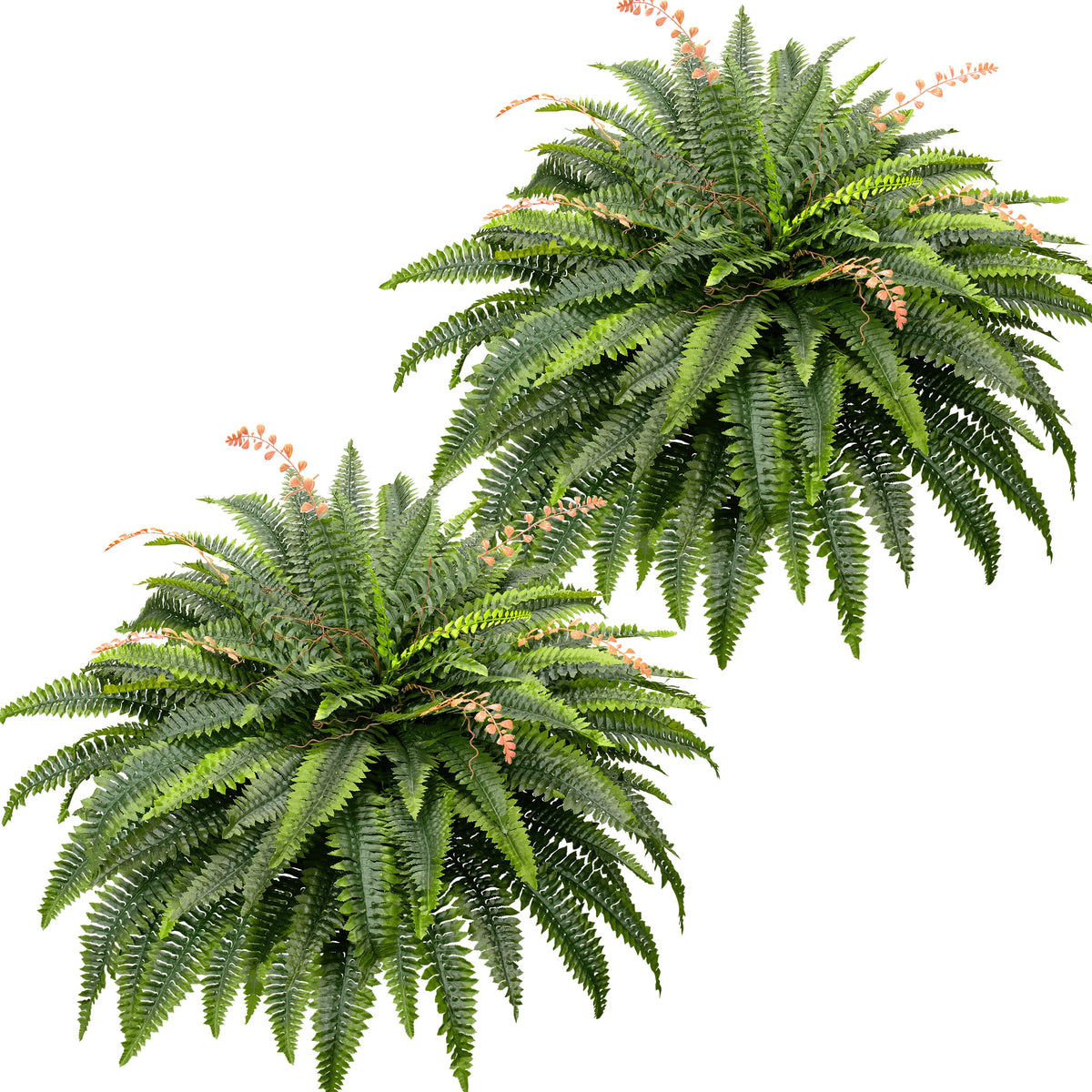 CQURE 128-branch Boston fern, 50-inch diameter, maintenance-free greenery for living spaces.