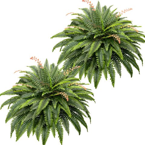 CQURE 128-branch Boston fern, 50-inch diameter, maintenance-free greenery for living spaces.