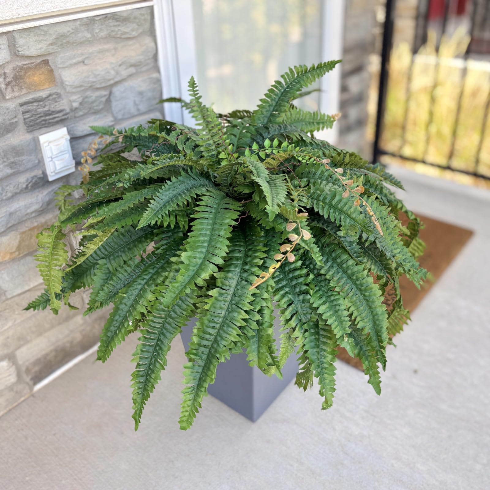 27-inch stems unfold to a 50-inch diameter for full display.