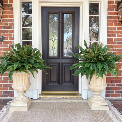 CQURE hanging outdoor fern display for vibrant, low-maintenance decor.