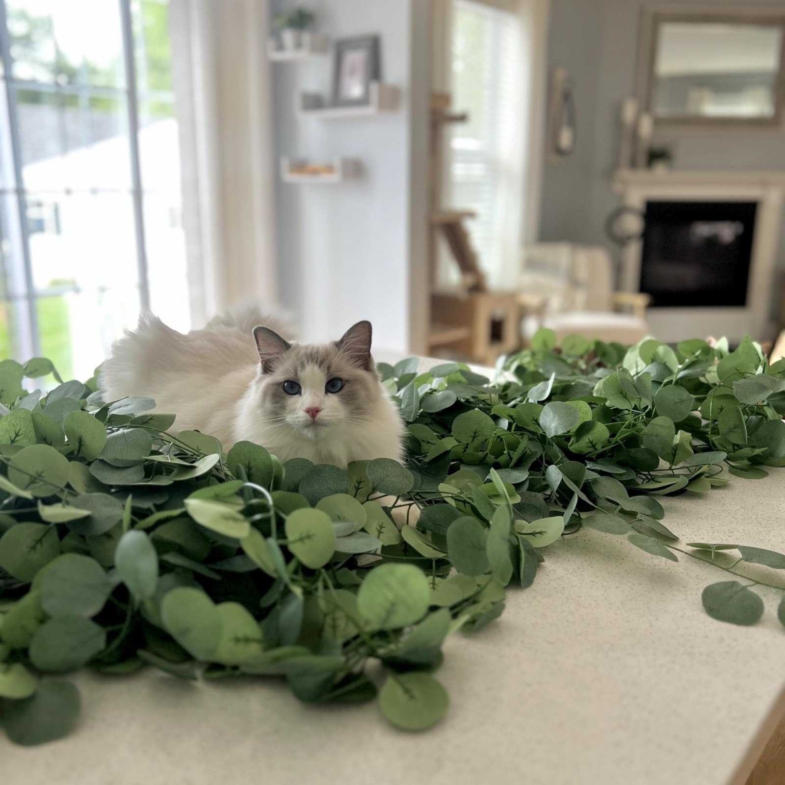 CQURE eucalyptus garland table decor ready for centerpiece styling.