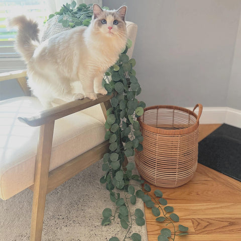 CQURE faux eucalyptus garland for fireplace and stair banisters.