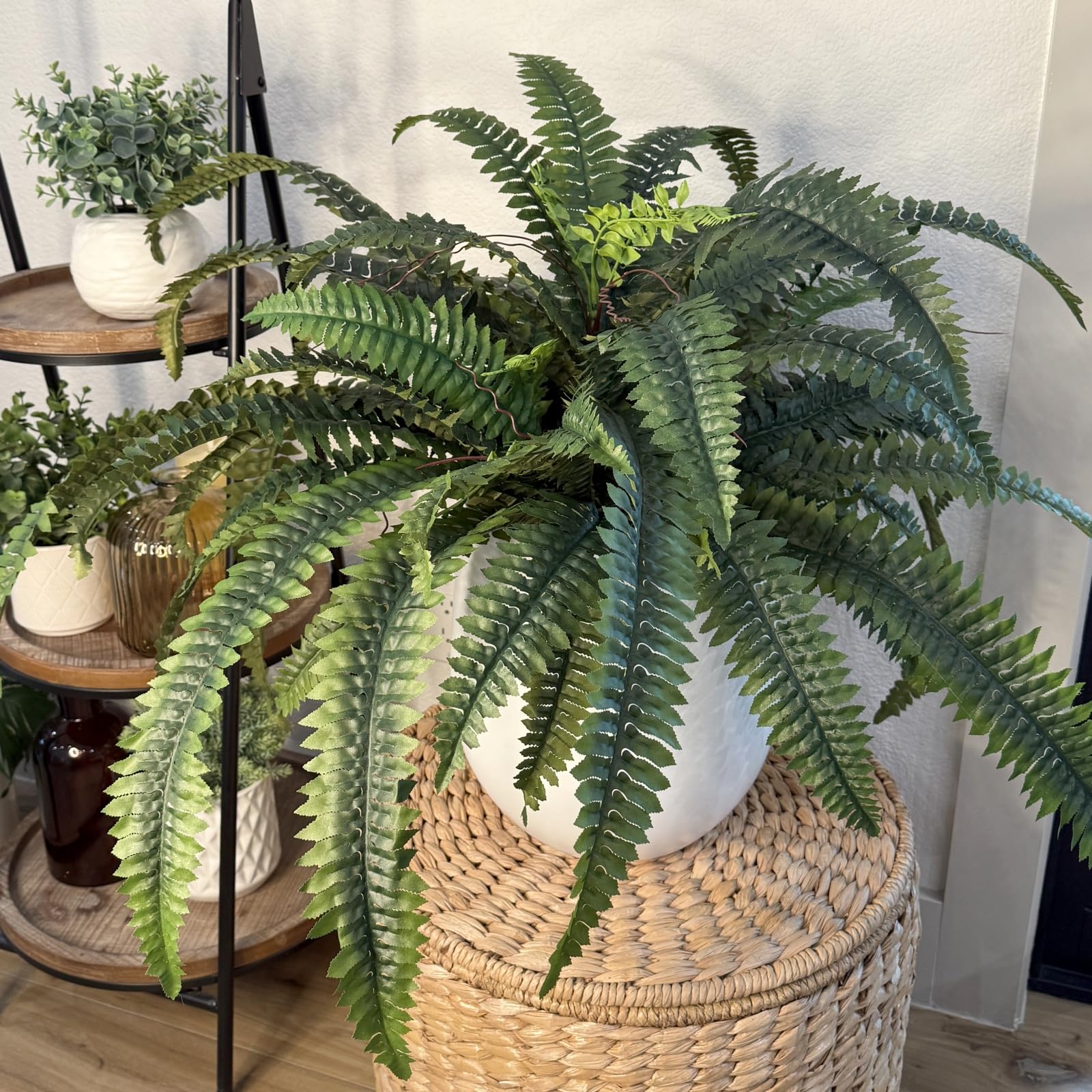 CQURE greenery for office interior with maintenance free charm.
