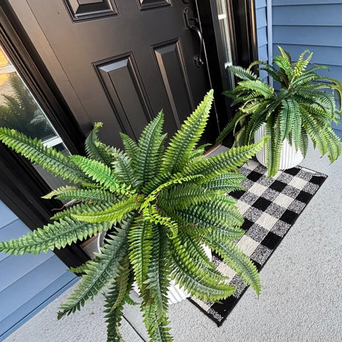 CQURE maintenance-free fern requires no watering