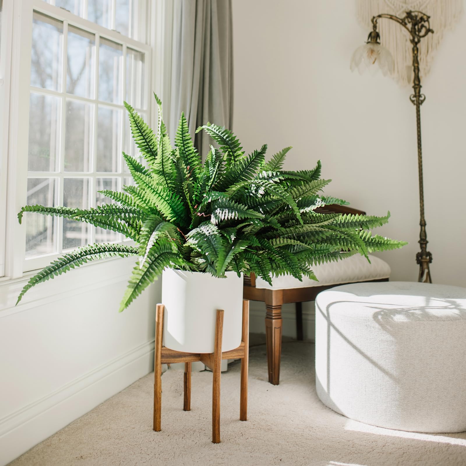 CQURE realistic fake fern viewed from multiple angles for natural look